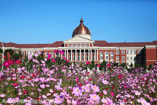 天津电子信息职业技术学院 天津电子信息职业技术学院